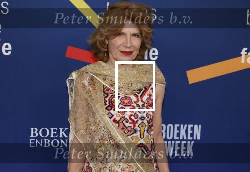 Amsterdam 15 maart 2024
Boekenbal in de stadschouwburg. Mieke v d Weij