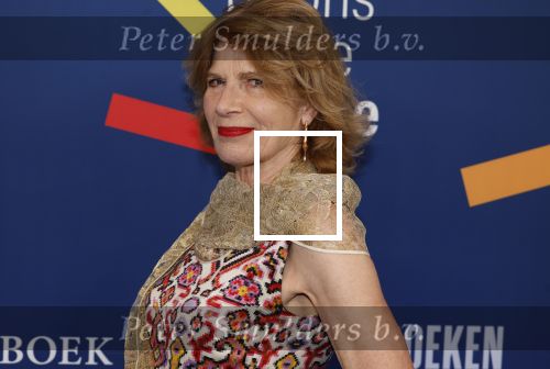 Amsterdam 15 maart 2024
Boekenbal in de stadschouwburg. Mieke v d Weij