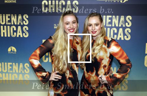 Amsterdam 4 maart 2024
Premiere Buenas Chicas in Tuschinski met oa Susan radder Noel v Kleef Britt Scholte Thijs Boermans Juvat westendorp Robin FringsFelice Poppeliers en Christina Zaragoza. Mylenne en Rosanne