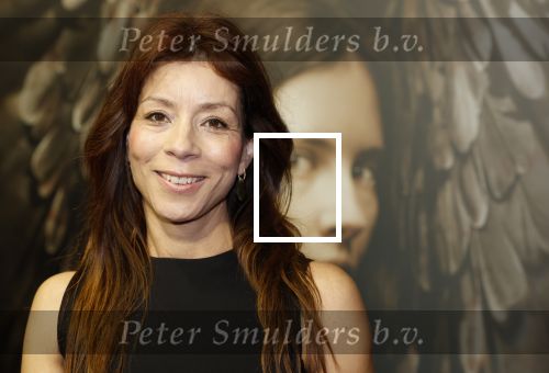 Amsterdam 18 maart 2024
Premiere Spinx in Pathe Tuschinski met in de cast oa Andrea Vass Benja Bruijning Chardonnay Rillen Delilah Warcup v Eyck Eva v Heijningen Marvcel Hensema Rami Kooti Arab Rifka Lodeizen Sallie Harmsen en Sil v d Zwan. Nadja Hupscher