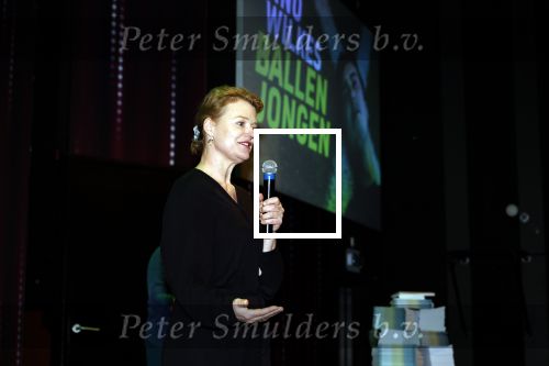 Amsterdam 27 maart 2024
Boekpresentatie Nino Wilkes in boom boom Chicago. Uitgeefster Nino Wilkes