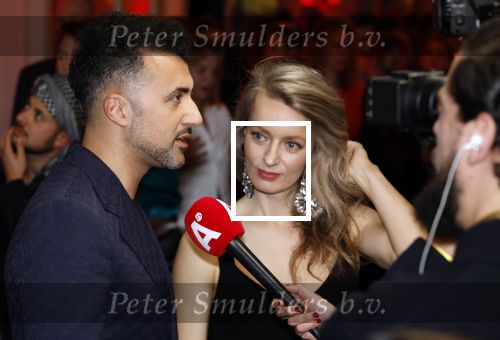 Amsterdam 15 maart 2024
Boekenbal in de stadschouwburg. Ozcan Akyol  en partner Anna van den Breemer (Eus)