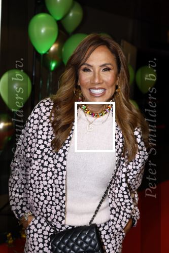 Amsterdam 10 maart 2024
Premiere Kung Fu Panda in de pathe Arena.