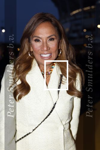 Amsterdam 10 maart 2024
Event alzheimer in het ziggo dome. Patty Brard
