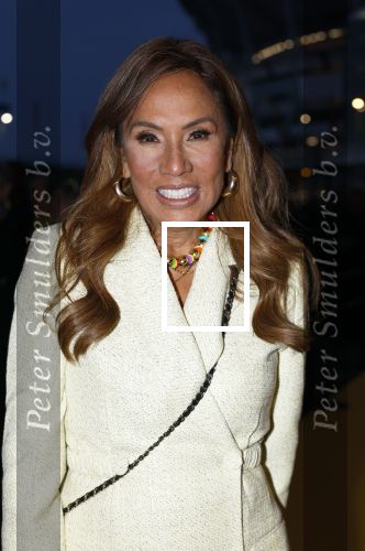 Amsterdam 10 maart 2024
Event alzheimer in het ziggo dome. Patty Brard