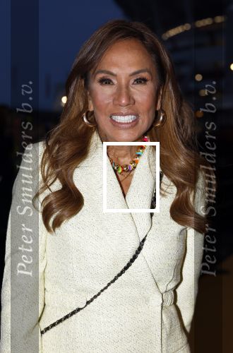 Amsterdam 10 maart 2024
Event alzheimer in het ziggo dome. Patty Brard