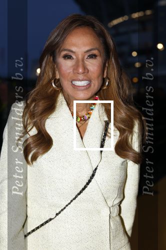 Amsterdam 10 maart 2024
Event alzheimer in het ziggo dome. Patty Brard