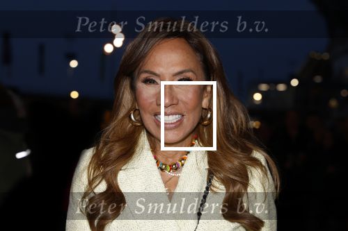 Amsterdam 10 maart 2024
Event alzheimer in het ziggo dome. Patty Brard