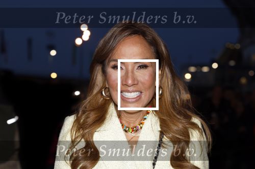 Amsterdam 10 maart 2024
Event alzheimer in het ziggo dome. Patty Brard