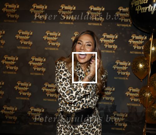 Amsterdam 22 maart 2024
Patty Brard gaat in 2025 een Panter party in het Ziggo dome geven voor haar 70e verjaardag.