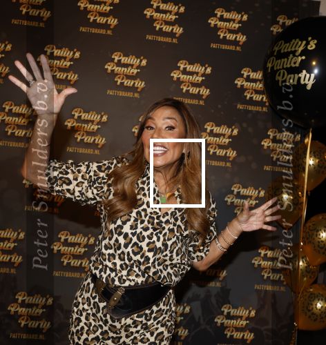 Amsterdam 22 maart 2024
Patty Brard gaat in 2025 een Panter party in het Ziggo dome geven voor haar 70e verjaardag.