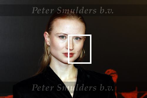 Amsterdam 18 maart 2024
Premiere Spinx in Pathe Tuschinski met in de cast oa Andrea Vass Benja Bruijning Chardonnay Rillen Delilah Warcup v Eyck Eva v Heijningen Marvcel Hensema Rami Kooti Arab Rifka Lodeizen Sallie Harmsen en Sil v d Zwan.