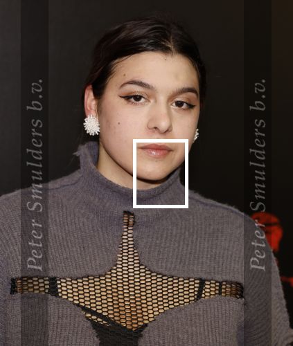 Amsterdam 18 maart 2024
Premiere Spinx in Pathe Tuschinski met in de cast oa Andrea Vass Benja Bruijning Chardonnay Rillen Delilah Warcup v Eyck Eva v Heijningen Marvcel Hensema Rami Kooti Arab Rifka Lodeizen Sallie Harmsen en Sil v d Zwan.