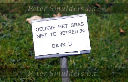 Lage Vuursche 6 maart 2024
Het graf van Prins Friso ligt er netjes bij . Er heeft iemand een bosje bloemen op gelegd.