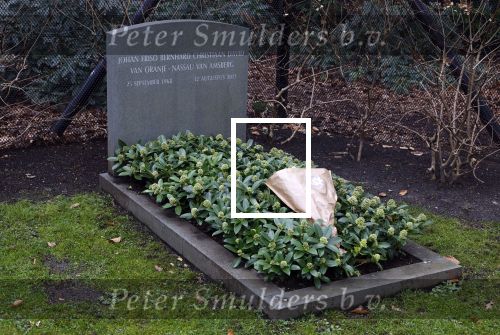 Lage Vuursche 6 maart 2024
Het graf van Prins Friso ligt er netjes bij . Er heeft iemand een bosje bloemen op gelegd.
