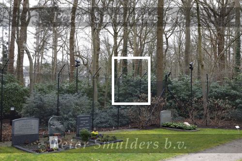 Lage Vuursche 6 maart 2024
Het graf van Prins Friso ligt er netjes bij . Er heeft iemand een bosje bloemen op gelegd.