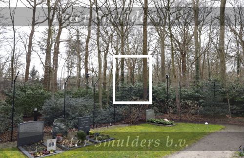 Lage Vuursche 6 maart 2024
Het graf van Prins Friso ligt er netjes bij . Er heeft iemand een bosje bloemen op gelegd.