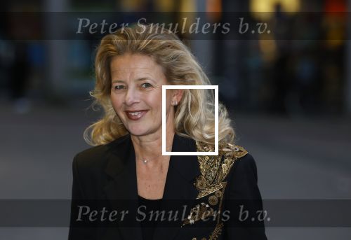 Den Haag 13 maart 2024
Uitreiking Prins Friso prijs op universiteit van Den Haag . Aanwezig burgemeester Jan v Zanen Prinses Beatrix Prinses Mabel en haar moeder.