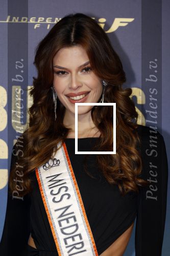 Amsterdam 4 maart 2024
Premiere Buenas Chicas in Tuschinski met oa Susan radder Noel v Kleef Britt Scholte Thijs Boermans Juvat westendorp Robin FringsFelice Poppeliers en Christina Zaragoza. Rikkie Kolle