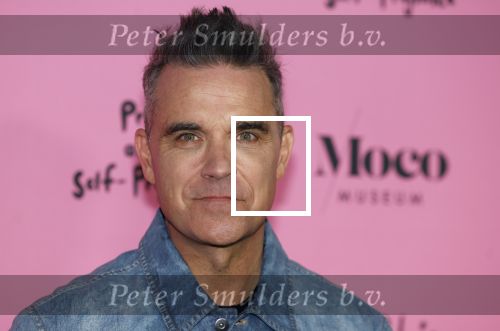Amsterdam 7 maart 2024
Opening expositie Robbie Williams in het Moco museum.