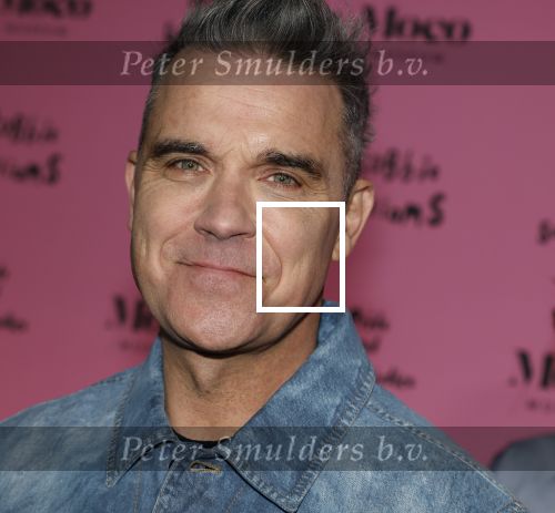 Amsterdam 7 maart 2024
Opening expositie Robbie Williams in het Moco museum.