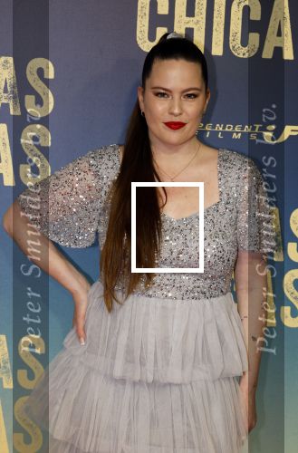 Amsterdam 4 maart 2024
Premiere Buenas Chicas in Tuschinski met oa Susan radder Noel v Kleef Britt Scholte Thijs Boermans Juvat westendorp Robin FringsFelice Poppeliers en Christina Zaragoza. Robin Martens