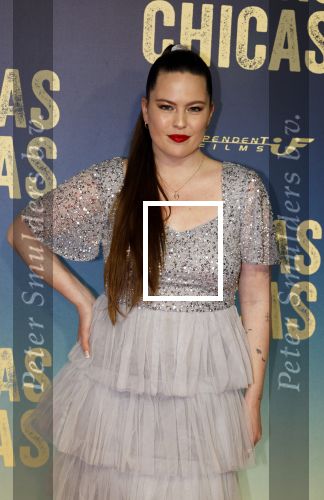 Amsterdam 4 maart 2024
Premiere Buenas Chicas in Tuschinski met oa Susan radder Noel v Kleef Britt Scholte Thijs Boermans Juvat westendorp Robin FringsFelice Poppeliers en Christina Zaragoza. Robin Martens