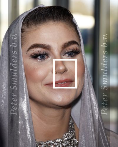 Leusden 4 maart 2024
Uitreikings edisons pop 2024 in het AFAS theater in Leusden. Roxeanne Hazes en vriend