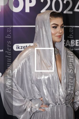 Leusden 4 maart 2024
Uitreikings edisons pop 2024 in het AFAS theater in Leusden. Roxeanne Hazes en vriend