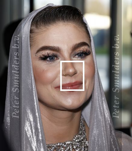 Leusden 4 maart 2024
Uitreikings edisons pop 2024 in het AFAS theater in Leusden. Roxeanne Hazes en vriend