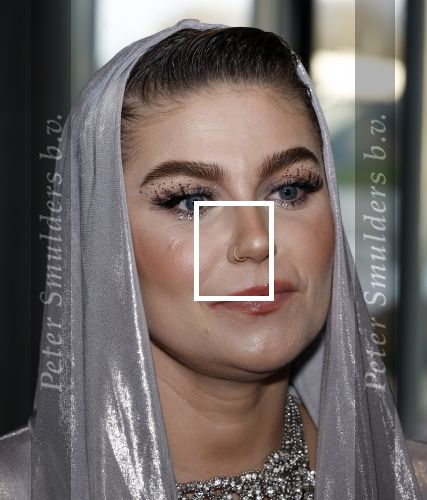 Leusden 4 maart 2024
Uitreikings edisons pop 2024 in het AFAS theater in Leusden. Roxeanne Hazes en vriend