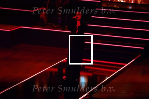 Leusden 4 maart 2024
Uitreikings edisons pop 2024 in het AFAS theater in Leusden. Roxeanne Hazes