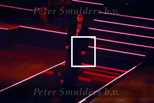 Leusden 4 maart 2024
Uitreikings edisons pop 2024 in het AFAS theater in Leusden. Roxeanne Hazes