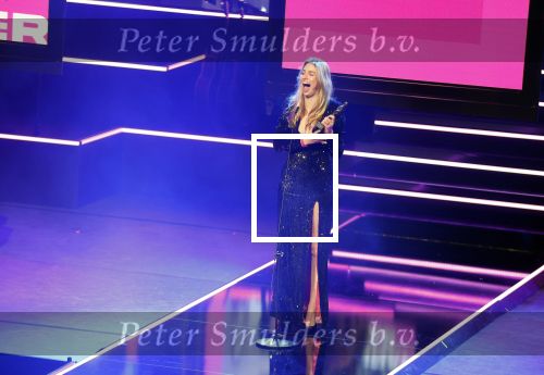 Leusden 4 maart 2024
Uitreikings edisons pop 2024 in het AFAS theater in Leusden. Roxy Dekker