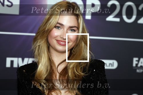 Leusden 4 maart 2024
Uitreikings edisons pop 2024 in het AFAS theater in Leusden. Roxy Dekker