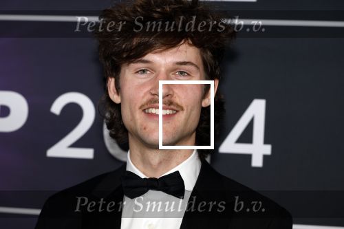 Leusden 4 maart 2024
Uitreikings edisons pop 2024 in het AFAS theater in Leusden. Simon de Wit alias Blanks