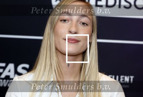 Leusden 4 maart 2024
Uitreikings edisons pop 2024 in het AFAS theater in Leusden. Stien S10