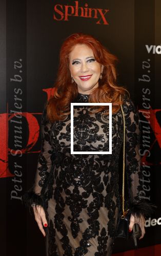 Amsterdam 18 maart 2024
Premiere Spinx in Pathe Tuschinski met in de cast oa Andrea Vass Benja Bruijning Chardonnay Rillen Delilah Warcup v Eyck Eva v Heijningen Marvcel Hensema Rami Kooti Arab Rifka Lodeizen Sallie Harmsen en Sil v d Zwan. Sylvia Bruens