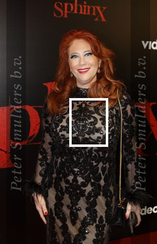 Amsterdam 18 maart 2024
Premiere Spinx in Pathe Tuschinski met in de cast oa Andrea Vass Benja Bruijning Chardonnay Rillen Delilah Warcup v Eyck Eva v Heijningen Marvcel Hensema Rami Kooti Arab Rifka Lodeizen Sallie Harmsen en Sil v d Zwan. Sylvia Bruens