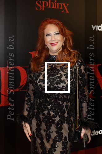 Amsterdam 18 maart 2024
Premiere Spinx in Pathe Tuschinski met in de cast oa Andrea Vass Benja Bruijning Chardonnay Rillen Delilah Warcup v Eyck Eva v Heijningen Marvcel Hensema Rami Kooti Arab Rifka Lodeizen Sallie Harmsen en Sil v d Zwan. Sylvia Bruens