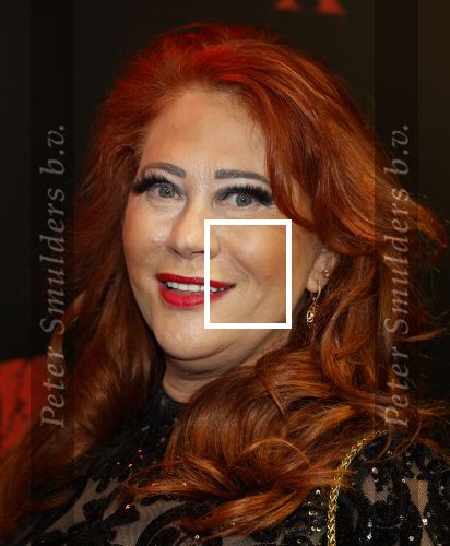 Amsterdam 18 maart 2024
Premiere Spinx in Pathe Tuschinski met in de cast oa Andrea Vass Benja Bruijning Chardonnay Rillen Delilah Warcup v Eyck Eva v Heijningen Marvcel Hensema Rami Kooti Arab Rifka Lodeizen Sallie Harmsen en Sil v d Zwan. Sylvia Bruens