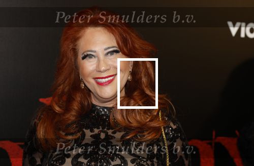 Amsterdam 18 maart 2024
Premiere Spinx in Pathe Tuschinski met in de cast oa Andrea Vass Benja Bruijning Chardonnay Rillen Delilah Warcup v Eyck Eva v Heijningen Marvcel Hensema Rami Kooti Arab Rifka Lodeizen Sallie Harmsen en Sil v d Zwan. Sylvia Bruens