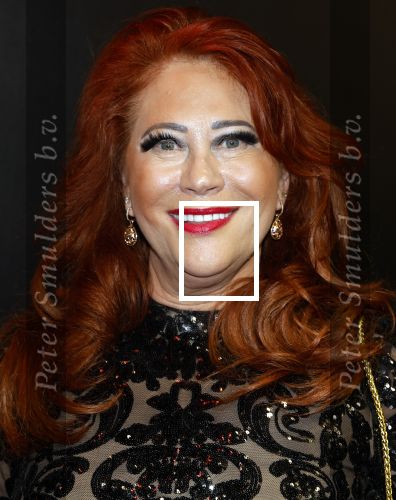 Amsterdam 18 maart 2024
Premiere Spinx in Pathe Tuschinski met in de cast oa Andrea Vass Benja Bruijning Chardonnay Rillen Delilah Warcup v Eyck Eva v Heijningen Marvcel Hensema Rami Kooti Arab Rifka Lodeizen Sallie Harmsen en Sil v d Zwan. Sylvia Bruens