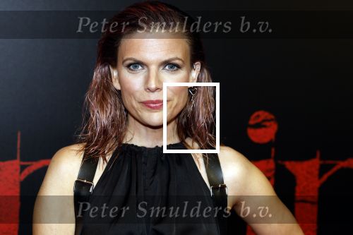 Amsterdam 18 maart 2024
Premiere Spinx in Pathe Tuschinski met in de cast oa Andrea Vass Benja Bruijning Chardonnay Rillen Delilah Warcup v Eyck Eva v Heijningen Marvcel Hensema Rami Kooti Arab Rifka Lodeizen Sallie Harmsen en Sil v d Zwan. Tamara Brinkman