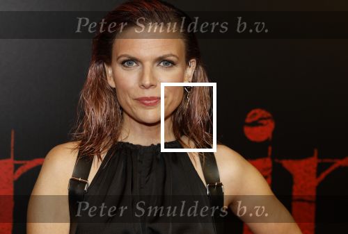 Amsterdam 18 maart 2024
Premiere Spinx in Pathe Tuschinski met in de cast oa Andrea Vass Benja Bruijning Chardonnay Rillen Delilah Warcup v Eyck Eva v Heijningen Marvcel Hensema Rami Kooti Arab Rifka Lodeizen Sallie Harmsen en Sil v d Zwan. Tamara Brinkman