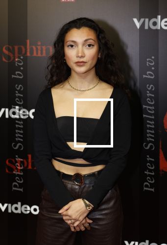 Amsterdam 18 maart 2024
Premiere Spinx in Pathe Tuschinski met in de cast oa Andrea Vass Benja Bruijning Chardonnay Rillen Delilah Warcup v Eyck Eva v Heijningen Marvcel Hensema Rami Kooti Arab Rifka Lodeizen Sallie Harmsen en Sil v d Zwan. Tara Hetharia