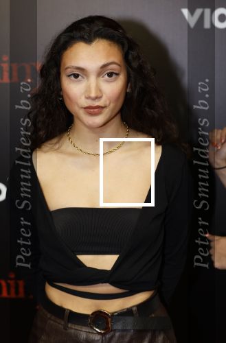 Amsterdam 18 maart 2024
Premiere Spinx in Pathe Tuschinski met in de cast oa Andrea Vass Benja Bruijning Chardonnay Rillen Delilah Warcup v Eyck Eva v Heijningen Marvcel Hensema Rami Kooti Arab Rifka Lodeizen Sallie Harmsen en Sil v d Zwan. Tara Hetharia