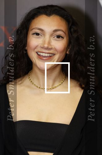 Amsterdam 18 maart 2024
Premiere Spinx in Pathe Tuschinski met in de cast oa Andrea Vass Benja Bruijning Chardonnay Rillen Delilah Warcup v Eyck Eva v Heijningen Marvcel Hensema Rami Kooti Arab Rifka Lodeizen Sallie Harmsen en Sil v d Zwan. Tara Hetharia