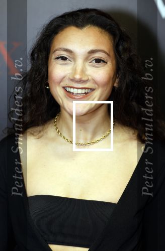 Amsterdam 18 maart 2024
Premiere Spinx in Pathe Tuschinski met in de cast oa Andrea Vass Benja Bruijning Chardonnay Rillen Delilah Warcup v Eyck Eva v Heijningen Marvcel Hensema Rami Kooti Arab Rifka Lodeizen Sallie Harmsen en Sil v d Zwan. Tara Hetharia