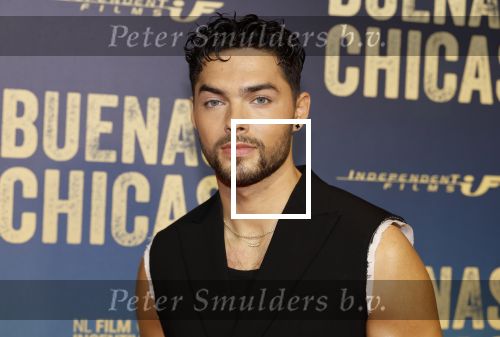 Amsterdam 4 maart 2024
Premiere Buenas Chicas in Tuschinski met oa Susan radder Noel v Kleef Britt Scholte Thijs Boermans Juvat westendorp Robin FringsFelice Poppeliers en Christina Zaragoza.